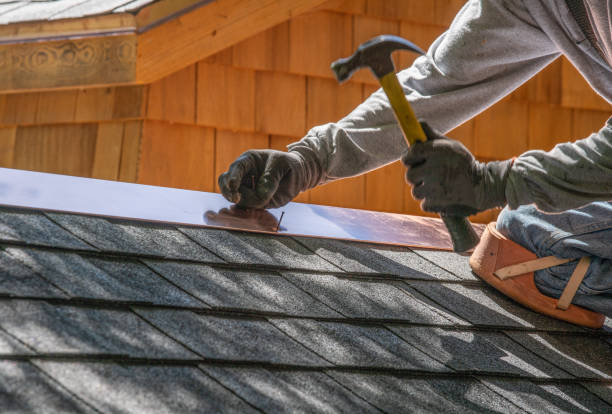 Best Sheet Metal Roofing  in Portage, MI
