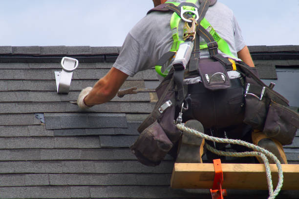Best Roof Moss and Algae Removal  in Portage, MI