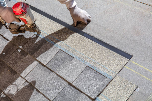 Best Roof Insulation Installation  in Portage, MI